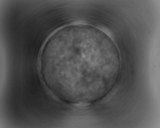 X0000092091008200710031151