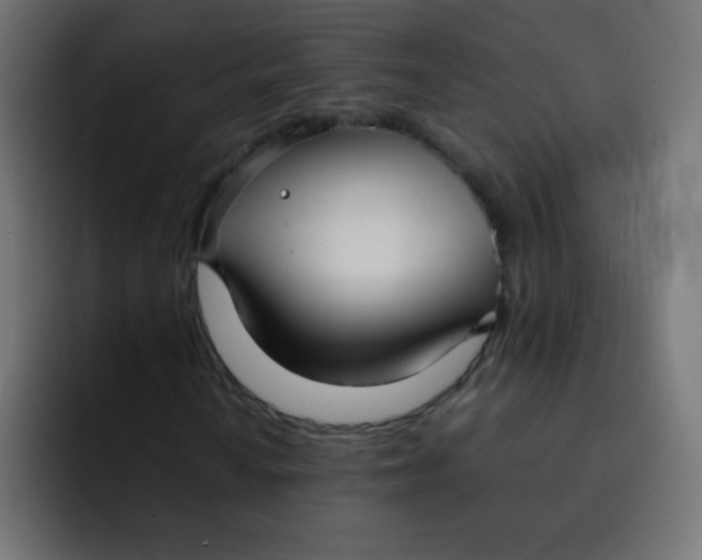 X0000092091010200710031150