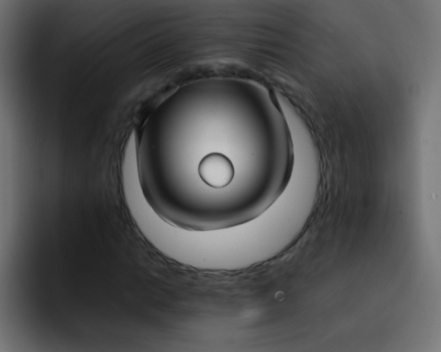 X0000092091014200710031150