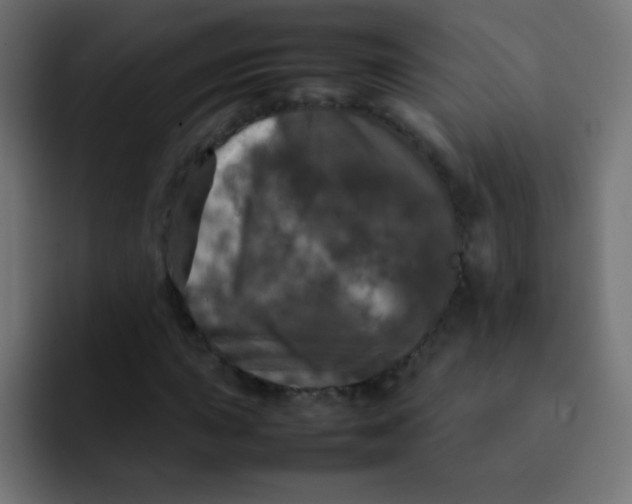 X0000092091015200710031150