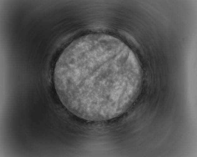 X0000092091016200710031150