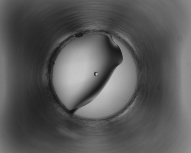 X0000092091018200710031150