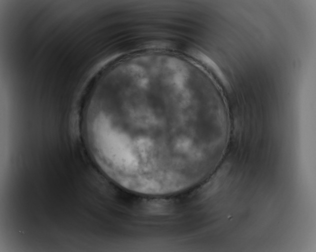 X0000092091019200710031150