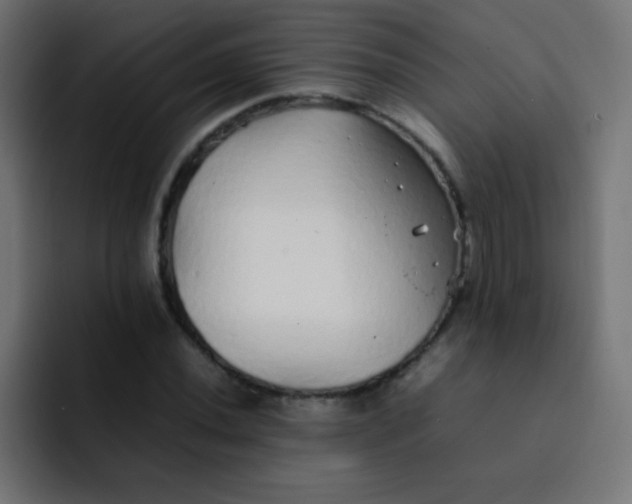 X0000092091020200710031150