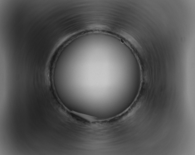 X0000092091022200710031150