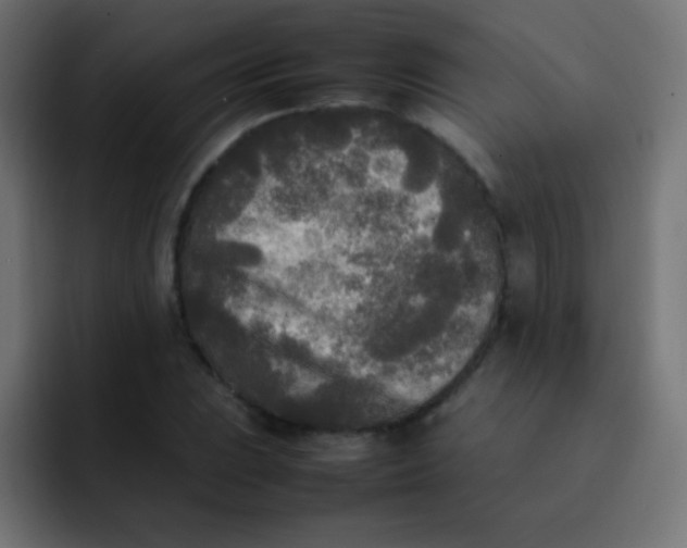 X0000092091023200710031150