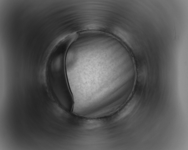 X0000092091026200710031150