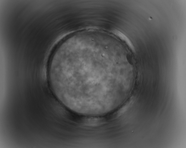 X0000092091027200710031150