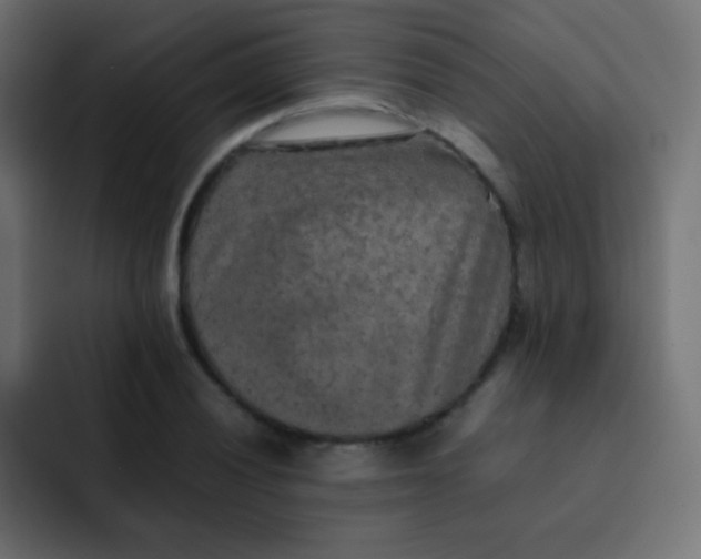 X0000092091028200710031150