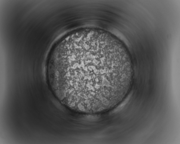 X0000092091029200710031150