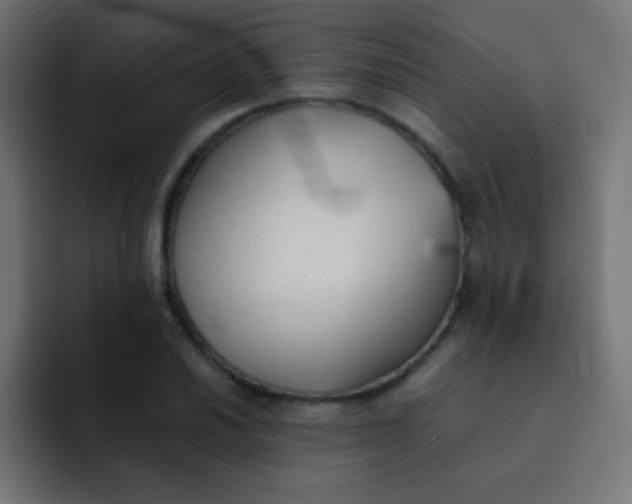 X0000092091030200710031150