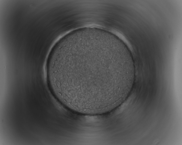 X0000092091032200710031150