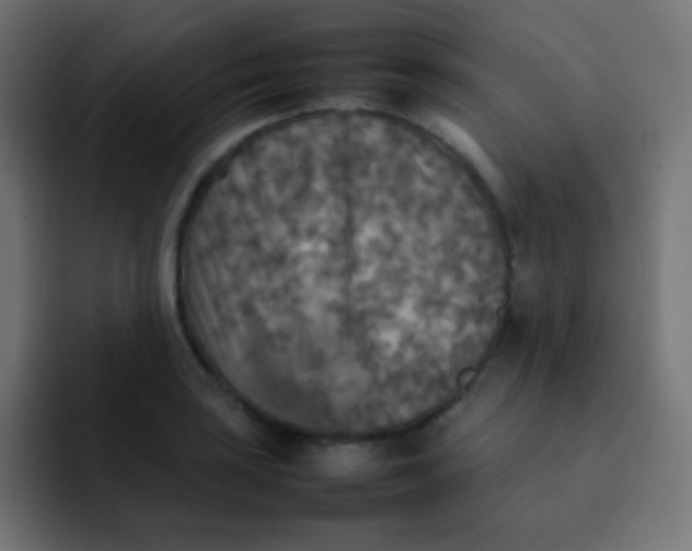 X0000092091035200710031150