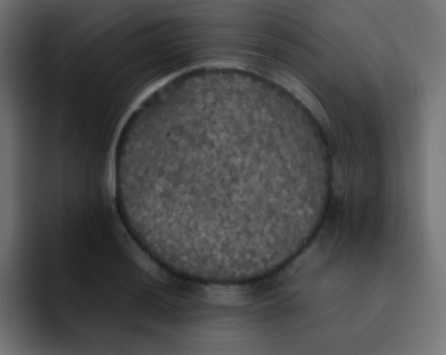 X0000092091036200710031150