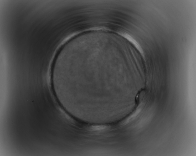 X0000092091037200710031150