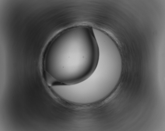 X0000092091038200710031150