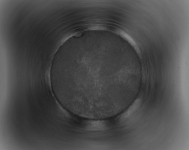 X0000092091041200710031151