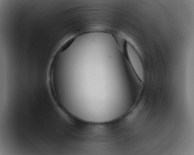 X0000092091042200710031151