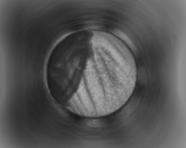 X0000092091043200710031151