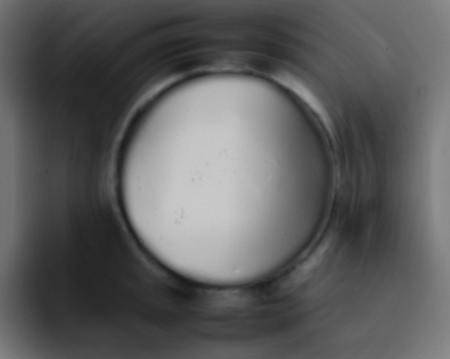 X0000092091045200710031151