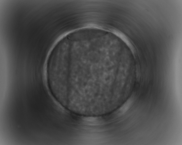X0000092091048200710031151