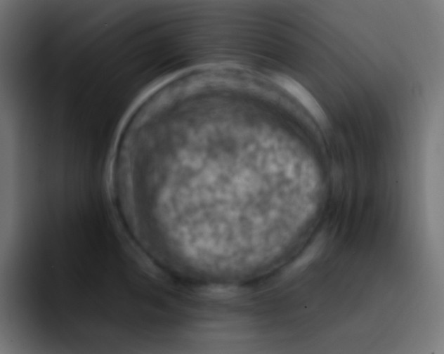 X0000092091052200710031151