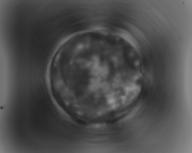 X0000092091055200710031151