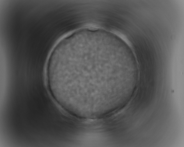 X0000092091056200710031151