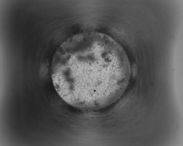 X0000092091059200710031150