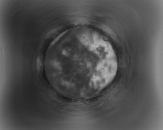 X0000092091063200710031150