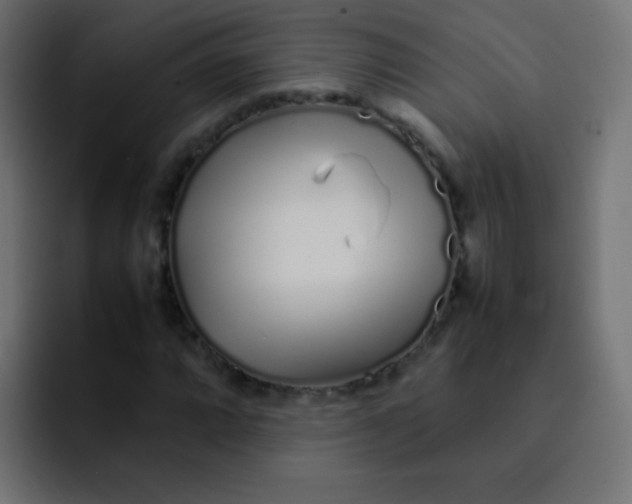 X0000092091064200710031150
