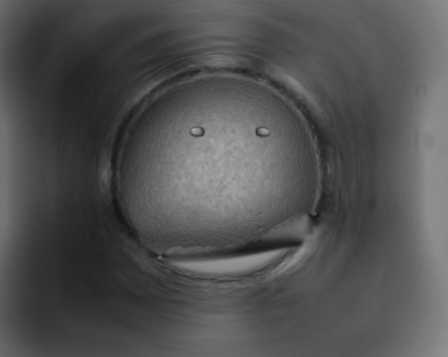 X0000092091065200710031150