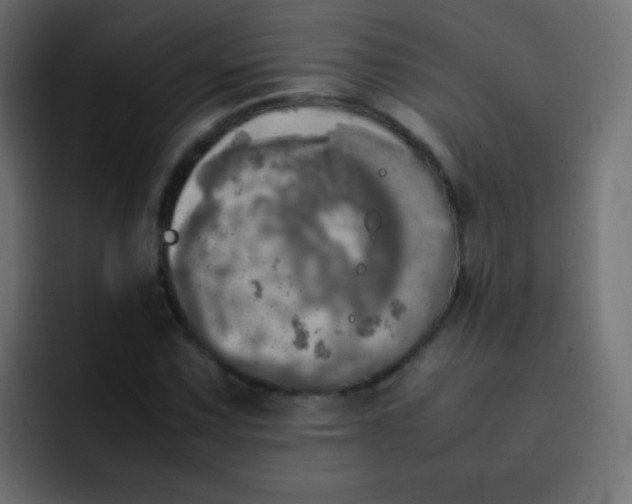 X0000092091067200710031150