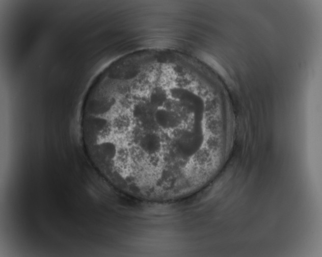 X0000092091071200710031150