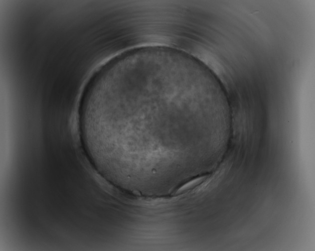 X0000092091072200710031150