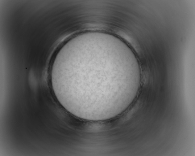 X0000092091074200710031150