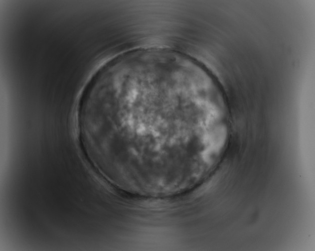 X0000092091075200710031150