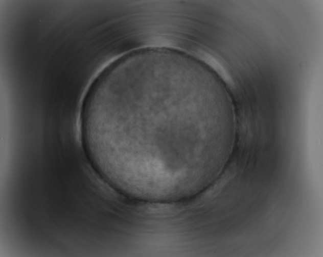 X0000092091076200710031150