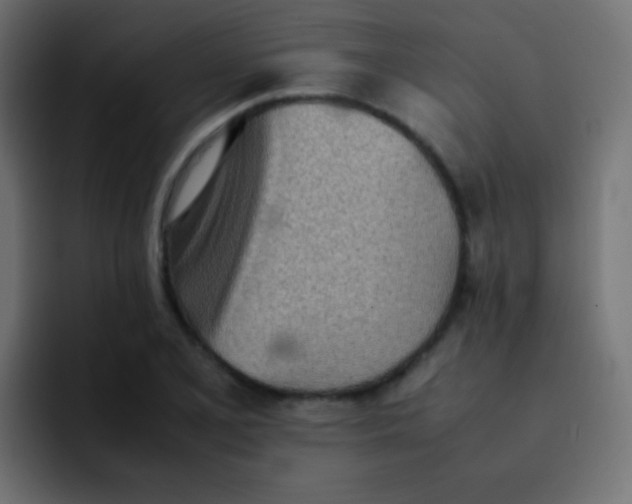 X0000092091077200710031150