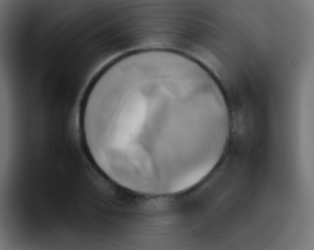 X0000092091078200710031150
