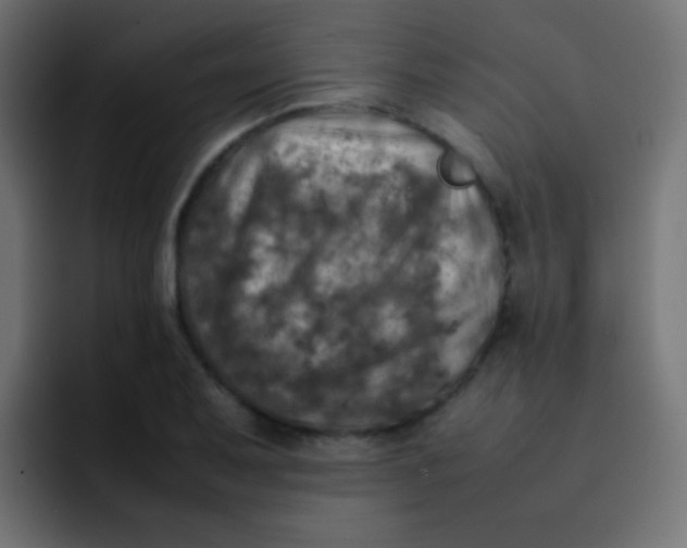 X0000092091079200710031150