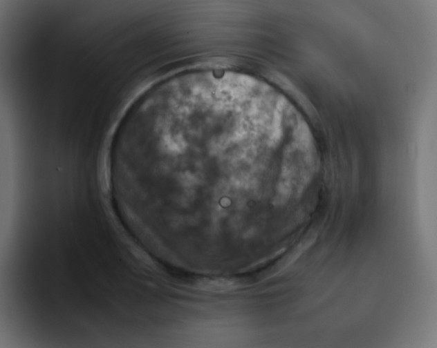 X0000092091083200710031150