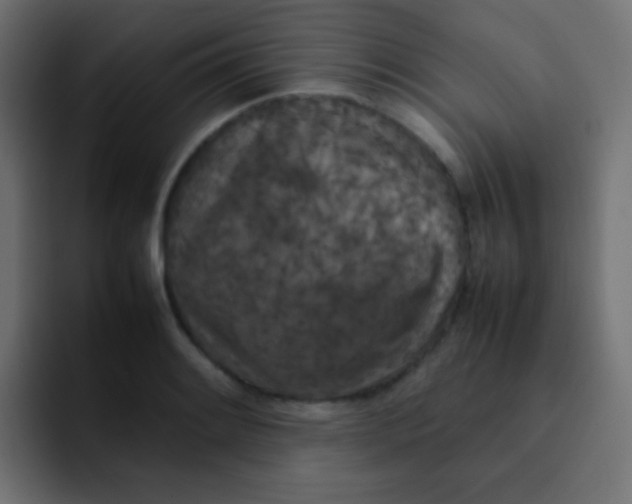 X0000092091084200710031150