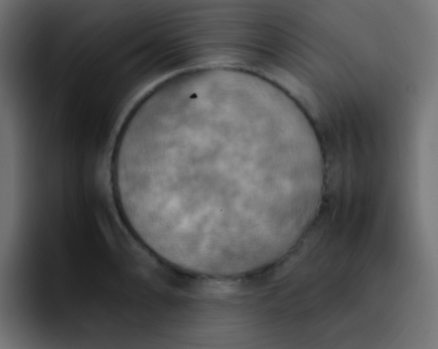 X0000092091086200710031150