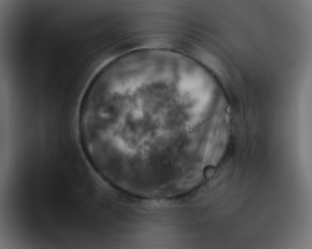 X0000092091087200710031150