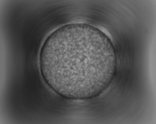 X0000092091088200710031150
