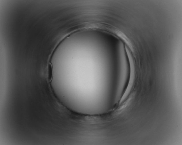 X0000092091089200710031150