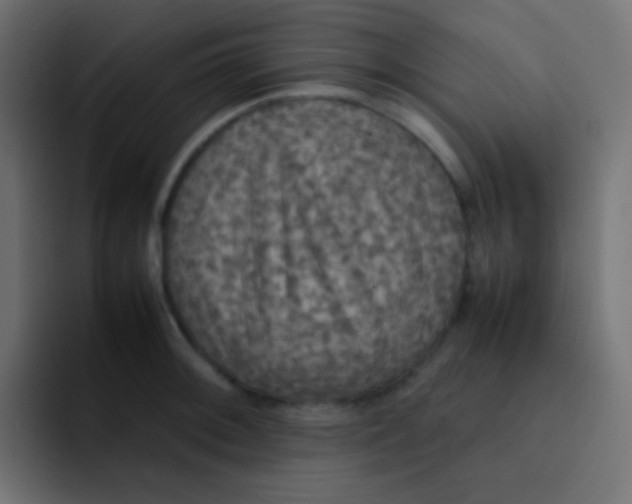 X0000092091092200710031150