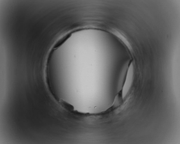 X0000092091093200710031150