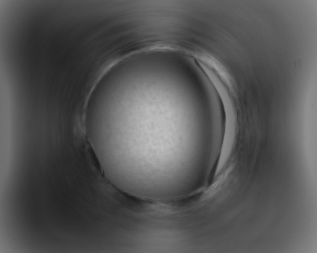 X0000092091097200710031150